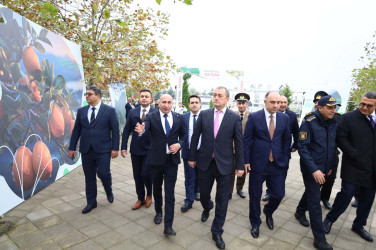 TƏDBİRLƏR-2025
